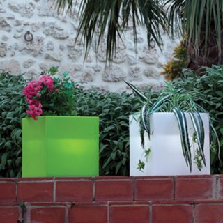 foto-pantelleria-ill