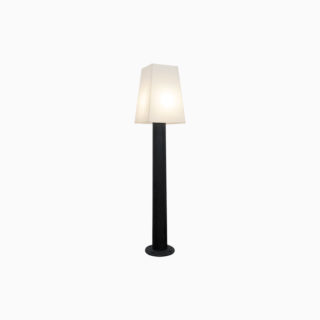 light-orchidea-accesa